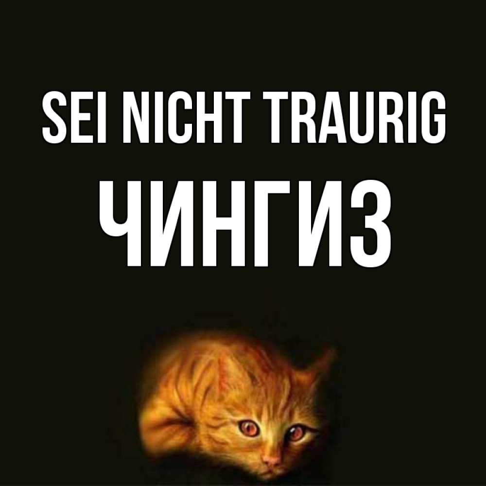 Открытка на каждый день с именем, Чингиз Sei nicht traurig лежащий кот в темноте Прикольная открытка с пожеланием онлайн скачать бесплатно 