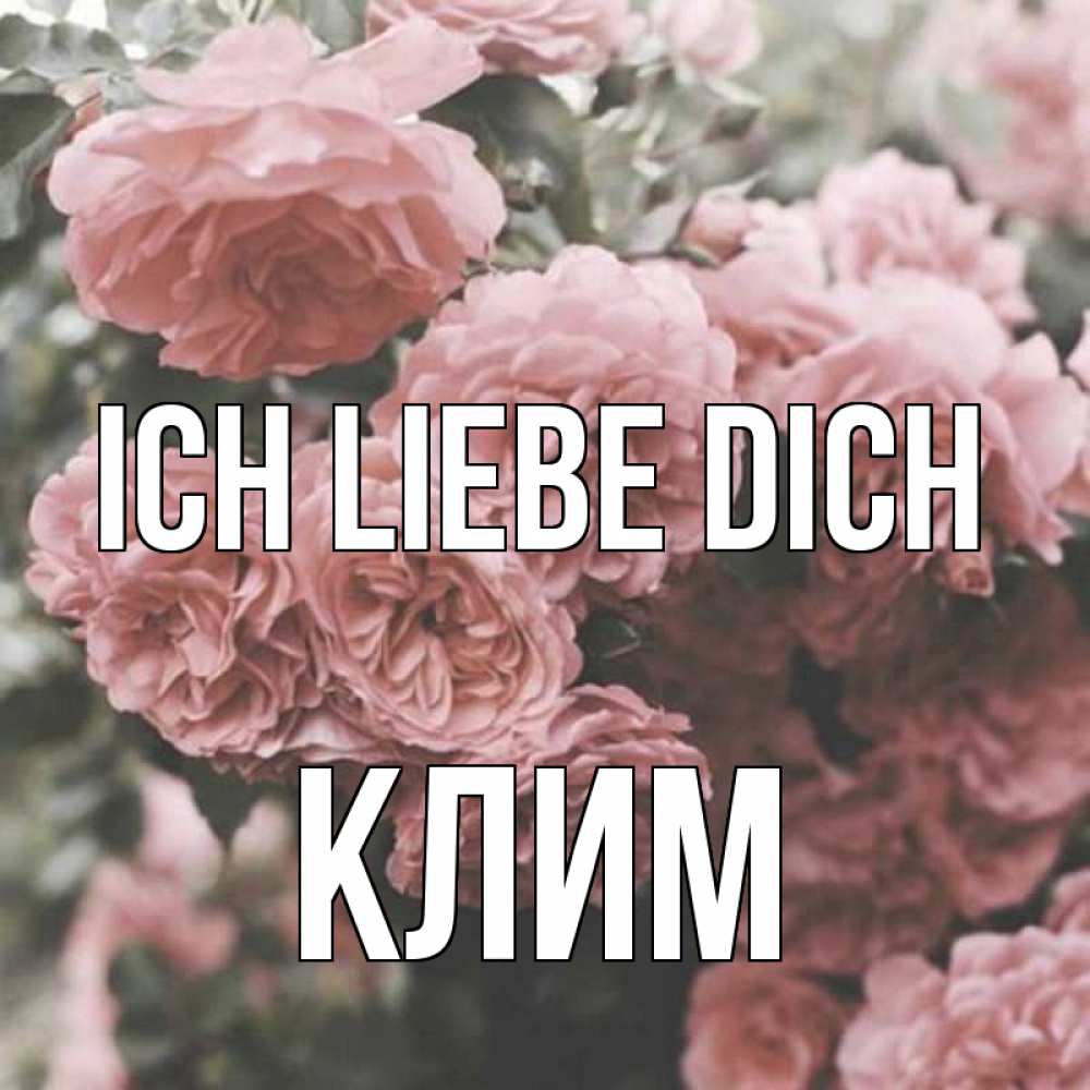 Открытка на каждый день с именем, Клим Ich liebe dich розы 3 Прикольная открытка с пожеланием онлайн скачать бесплатно 