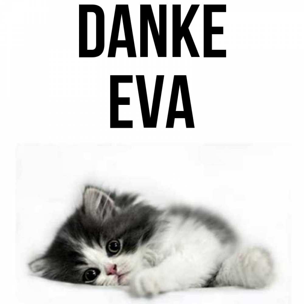 Открытка на каждый день с именем, Eva Danke черный и белый кот Прикольная открытка с пожеланием онлайн скачать бесплатно 