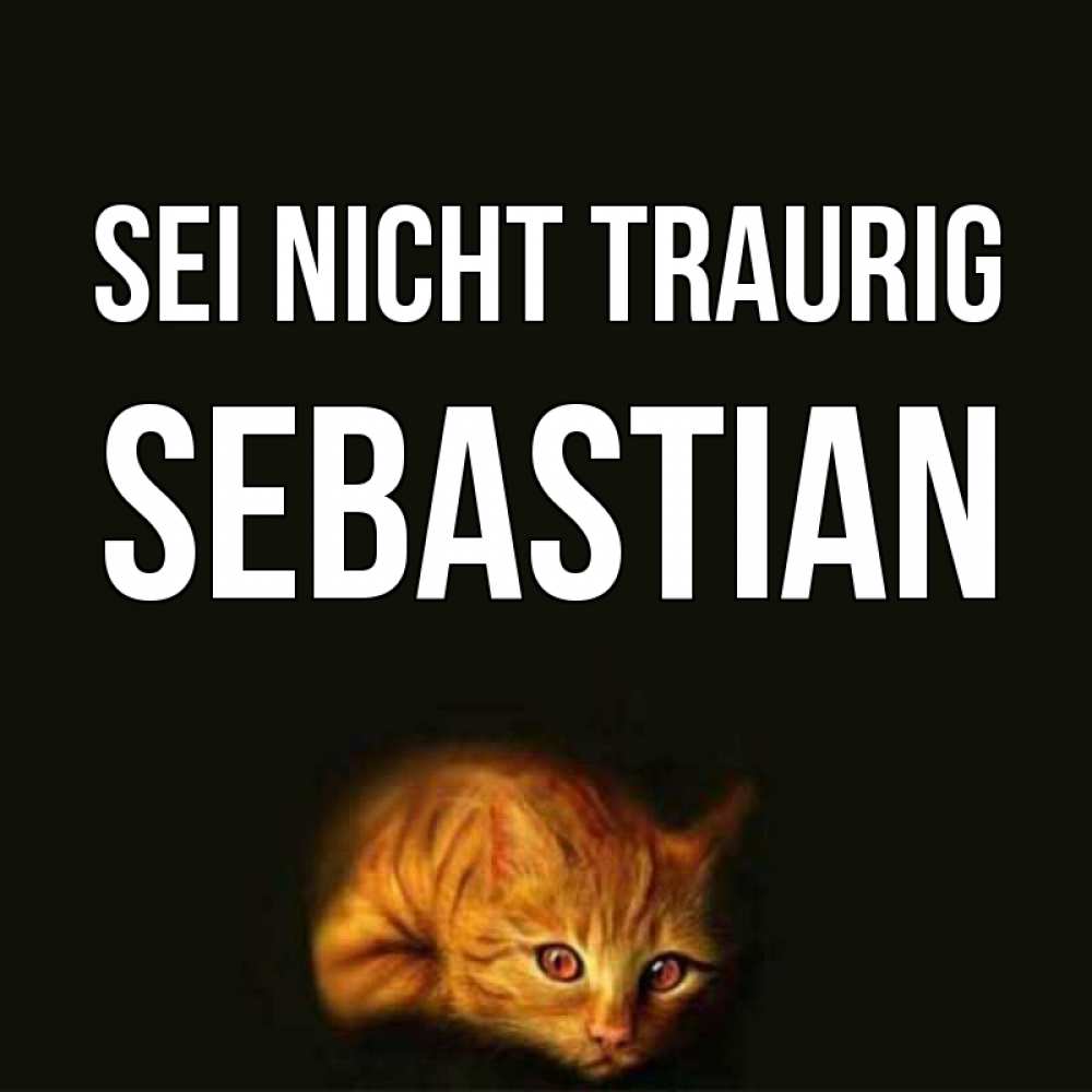 Открытка на каждый день с именем, Sebastian Sei nicht traurig лежащий кот в темноте Прикольная открытка с пожеланием онлайн скачать бесплатно 