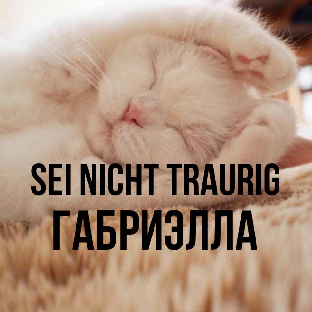 Открытка на каждый день с именем, Габриэлла Sei nicht traurig Котенок спит Прикольная открытка с пожеланием онлайн скачать бесплатно 