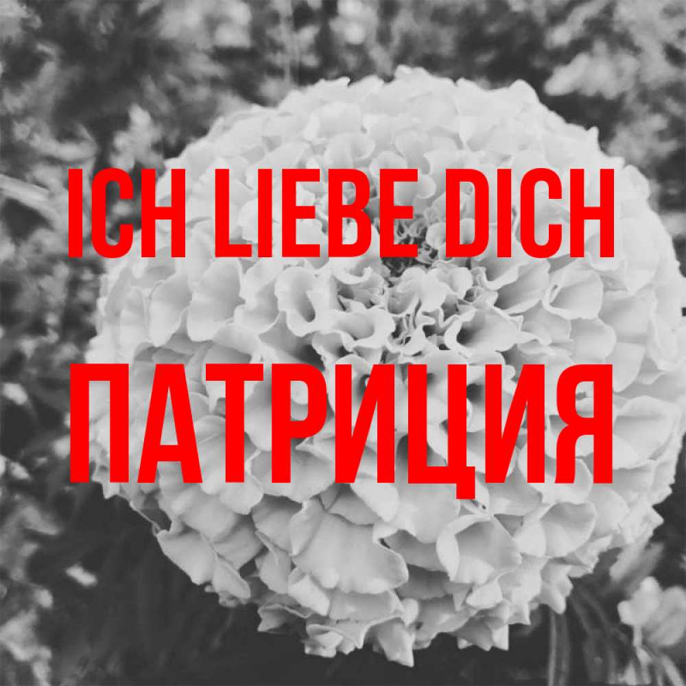 Открытка на каждый день с именем, Патриция Ich liebe dich подпись Прикольная открытка с пожеланием онлайн скачать бесплатно 