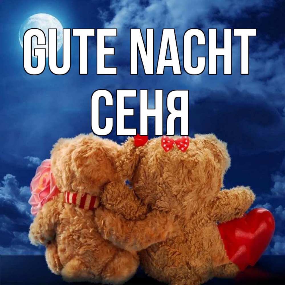 Открытка на каждый день с именем, Сеня Gute Nacht плюшевые Прикольная открытка с пожеланием онлайн скачать бесплатно 