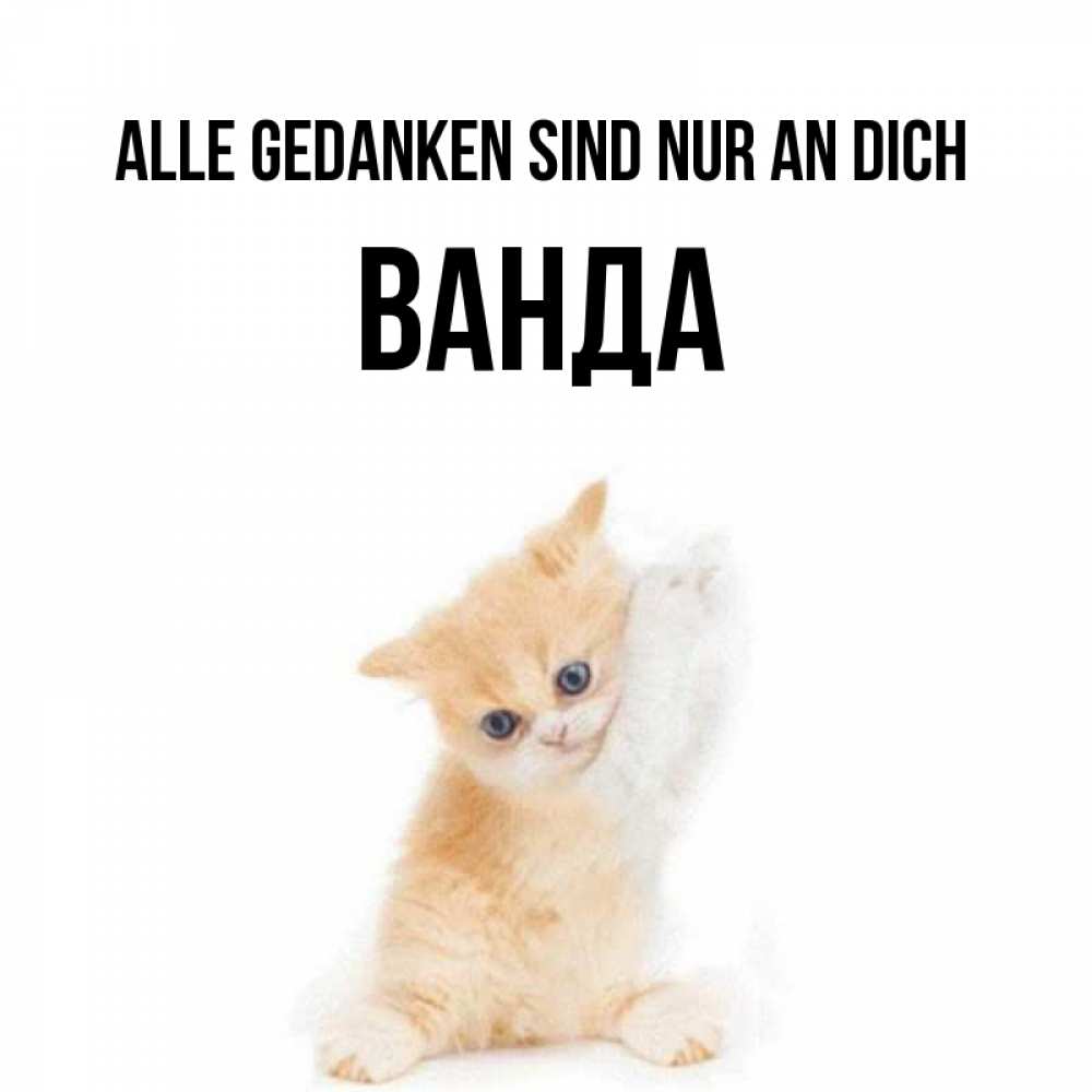 Открытка на каждый день с именем, Ванда Alle Gedanken sind nur an dich зверушки и милота Прикольная открытка с пожеланием онлайн скачать бесплатно 