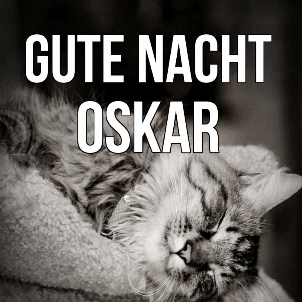 Открытка на каждый день с именем, Oskar Gute Nacht котярик пушистый Прикольная открытка с пожеланием онлайн скачать бесплатно 