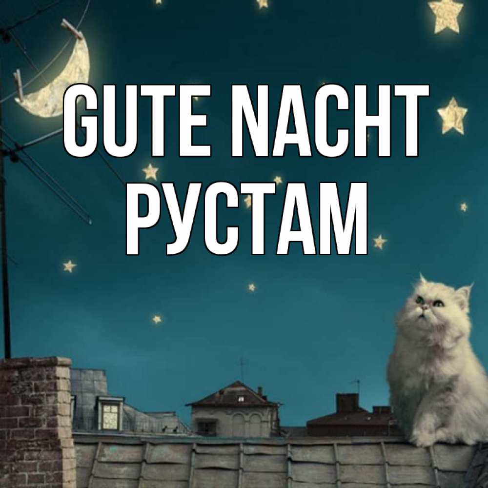 Открытка на каждый день с именем, Рустам Gute Nacht белый кот сидит на крыше Прикольная открытка с пожеланием онлайн скачать бесплатно 