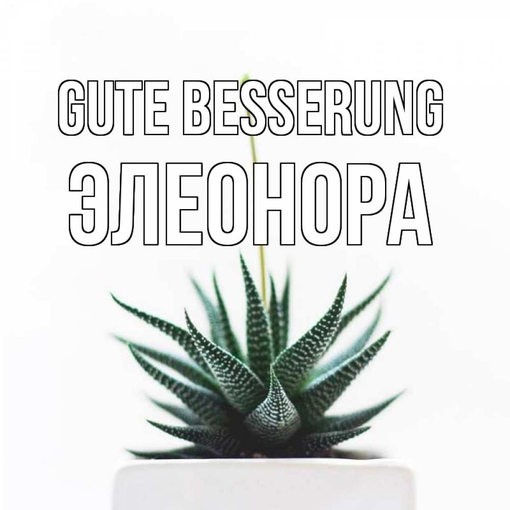 Открытка на каждый день с именем, Элеонора Gute Besserung короче это непонятная колючка Прикольная открытка с пожеланием онлайн скачать бесплатно 