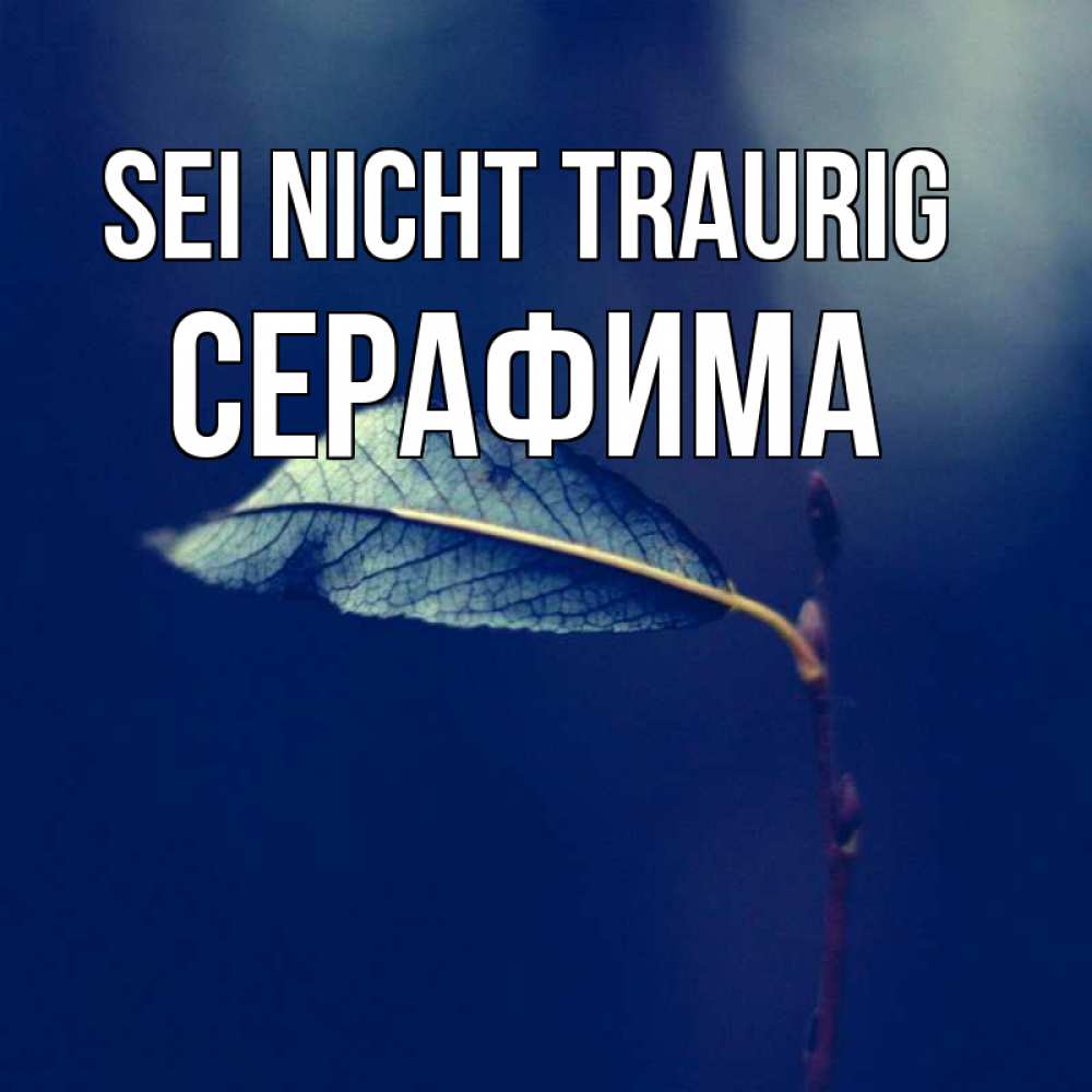 Открытка на каждый день с именем, Серафима Sei nicht traurig растение Прикольная открытка с пожеланием онлайн скачать бесплатно 