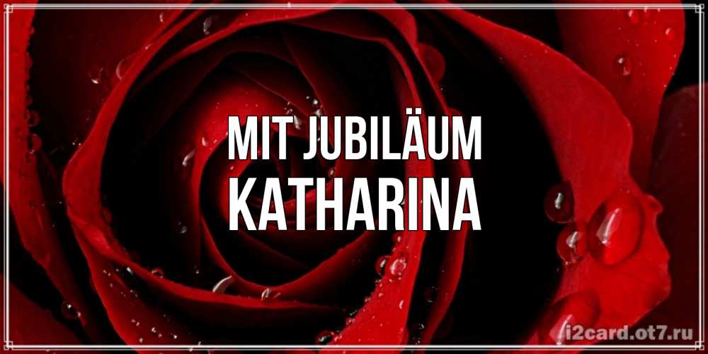 Открытка на каждый день с именем, Katharina Mit Jubiläum крупная бордовая роза Прикольная открытка с пожеланием онлайн скачать бесплатно 