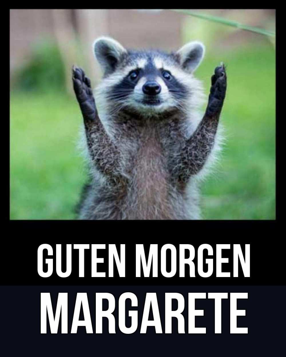 Открытка на каждый день с именем, Margarete Guten Morgen хорошее настроение утречком Прикольная открытка с пожеланием онлайн скачать бесплатно 
