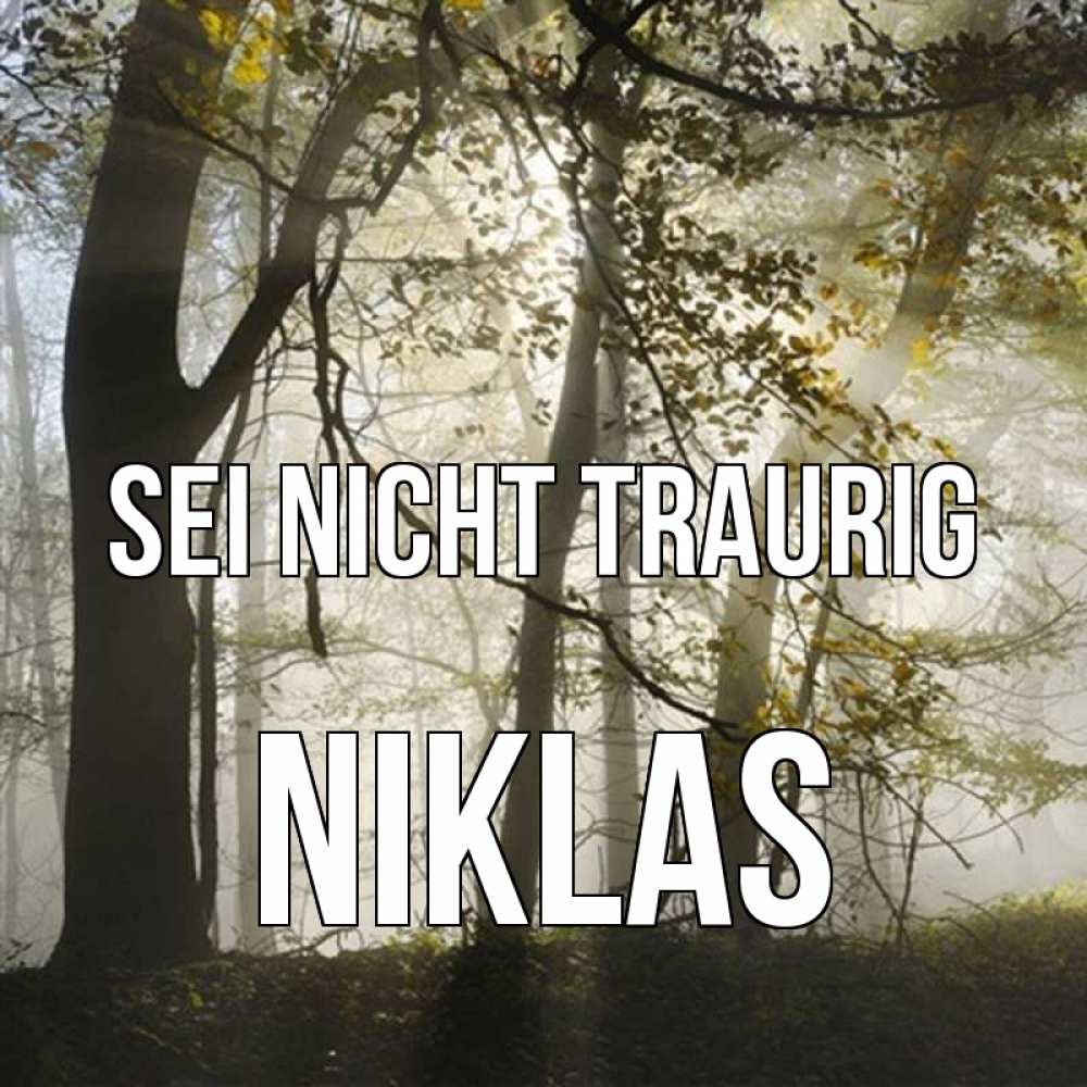 Открытка на каждый день с именем, Niklas Sei nicht traurig лес и свет Прикольная открытка с пожеланием онлайн скачать бесплатно 