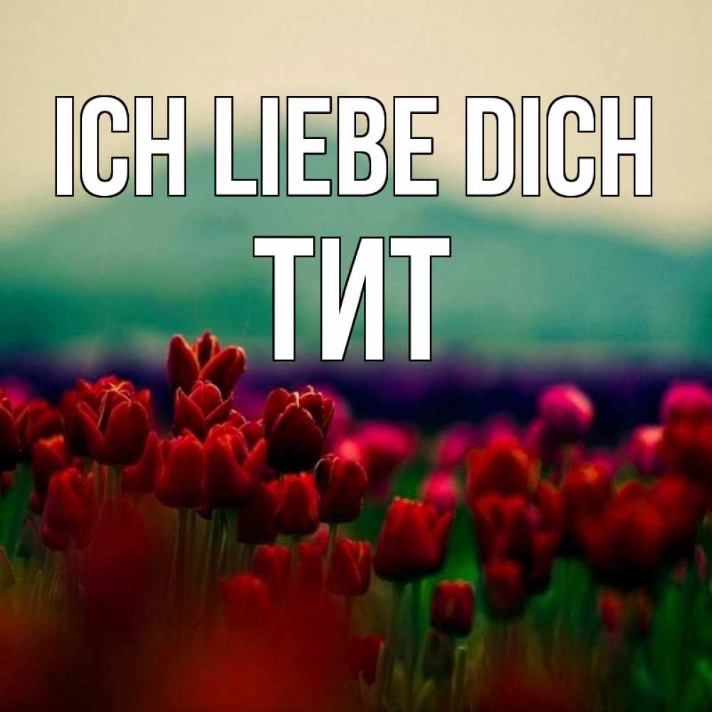 Открытка на каждый день с именем, Тит Ich liebe dich тюльпаны 4 Прикольная открытка с пожеланием онлайн скачать бесплатно 