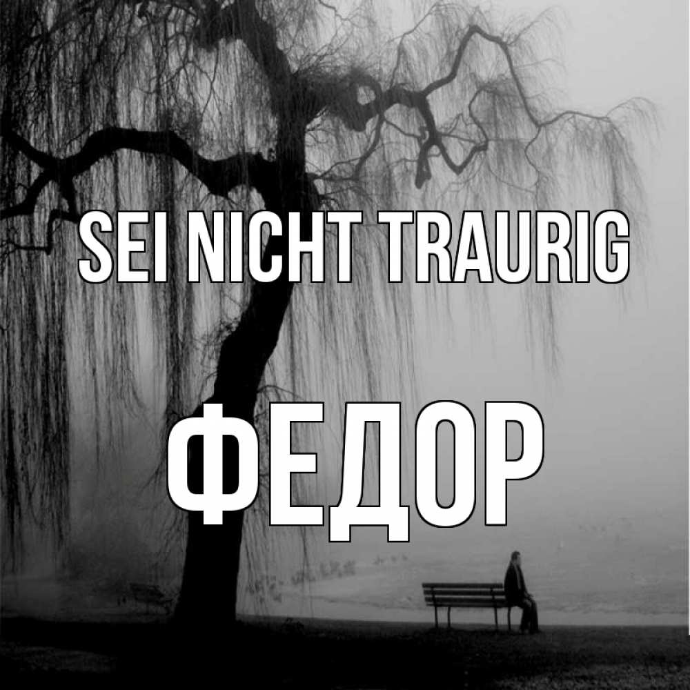 Открытка на каждый день с именем, Федор Sei nicht traurig висящие ветки дерева и лавочка под деревом Прикольная открытка с пожеланием онлайн скачать бесплатно 