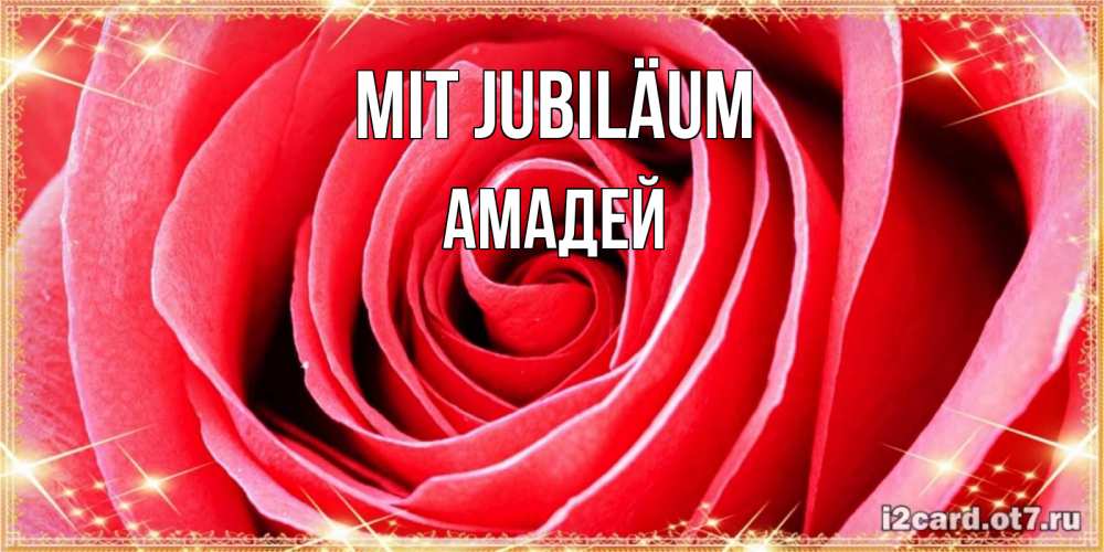 Открытка на каждый день с именем, Амадей Mit Jubiläum розовая роза очень крупный бутон Прикольная открытка с пожеланием онлайн скачать бесплатно 