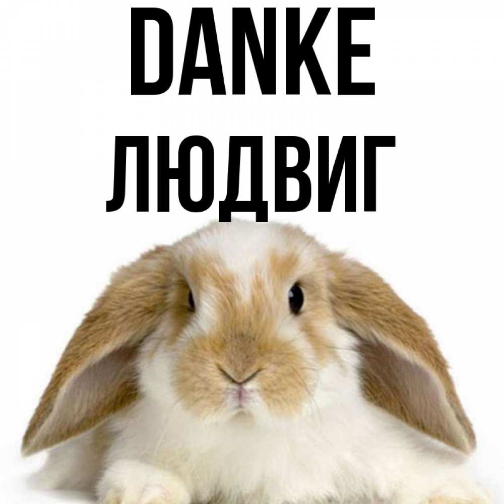 Открытка на каждый день с именем, Людвиг Danke коричнево белый заяц Прикольная открытка с пожеланием онлайн скачать бесплатно 