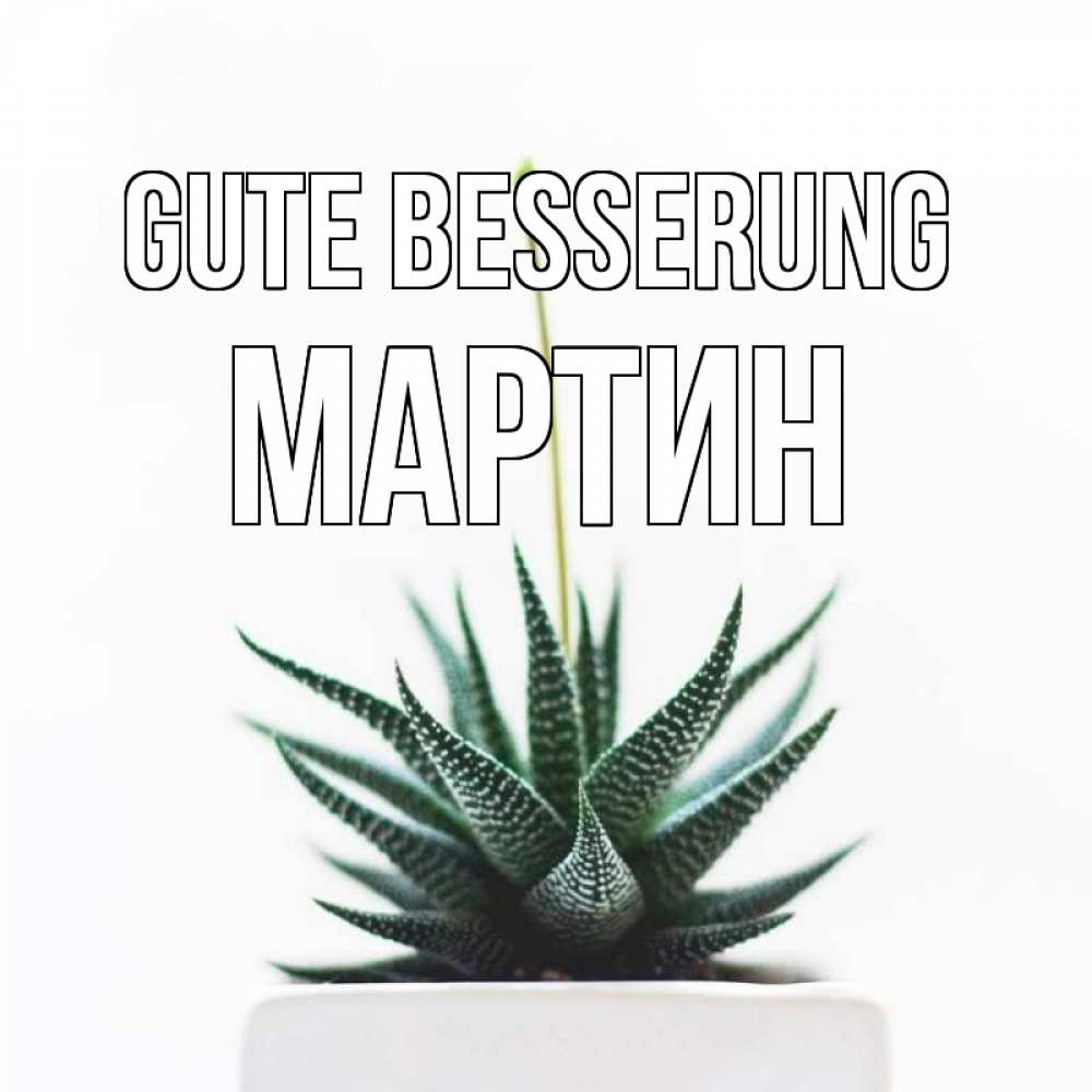Открытка на каждый день с именем, Мартин Gute Besserung короче это непонятная колючка Прикольная открытка с пожеланием онлайн скачать бесплатно 