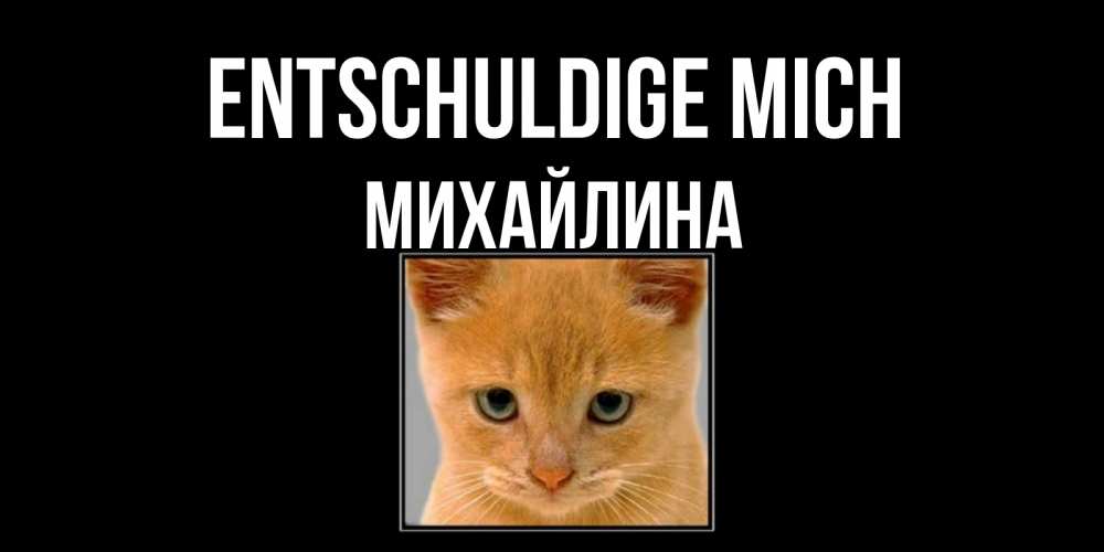 Открытка на каждый день с именем, Михайлина Entschuldige mich рыжий грустный кот просит прощения Прикольная открытка с пожеланием онлайн скачать бесплатно 