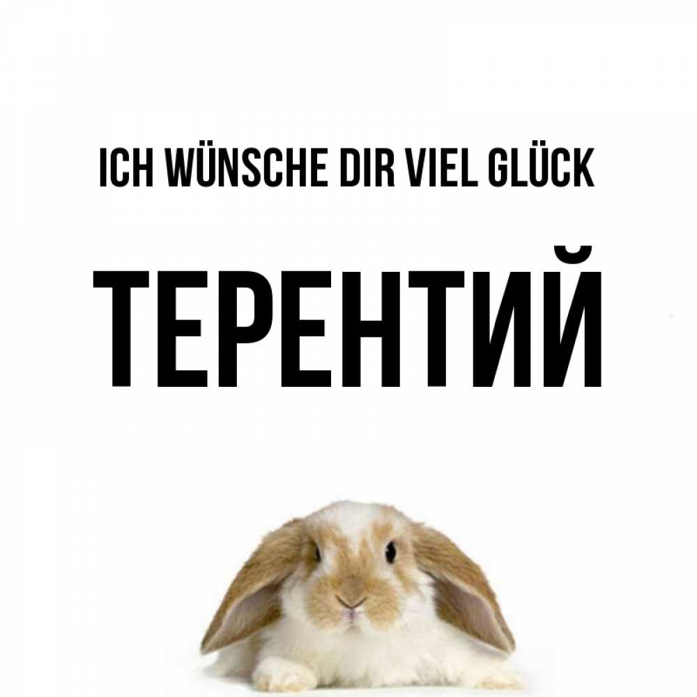 Открытка на каждый день с именем, Терентий Ich wünsche dir viel Glück открытки с произвольным текстом который можно вставить в открытку и создать ее самостоятельно бесплатно онлайн Прикольная открытка с пожеланием онлайн скачать бесплатно 
