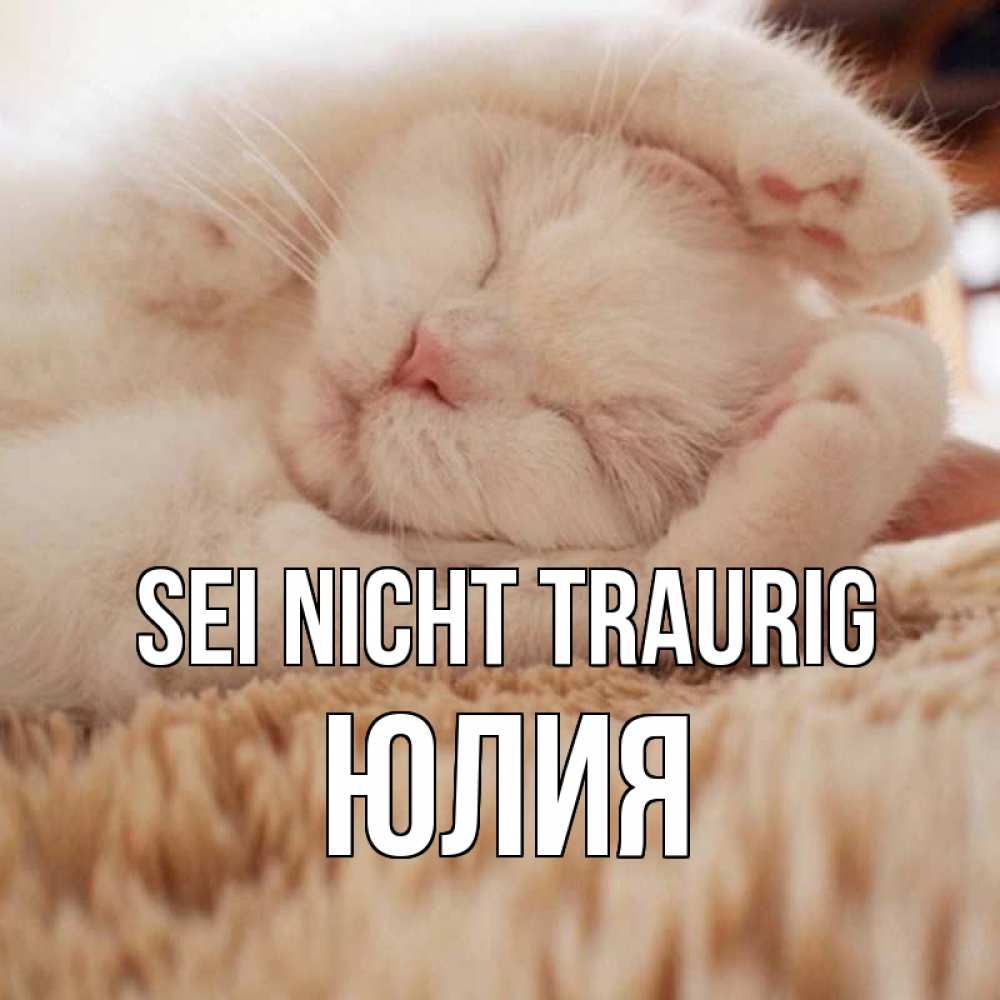 Открытка на каждый день с именем, Юлия Sei nicht traurig белый кот Прикольная открытка с пожеланием онлайн скачать бесплатно 