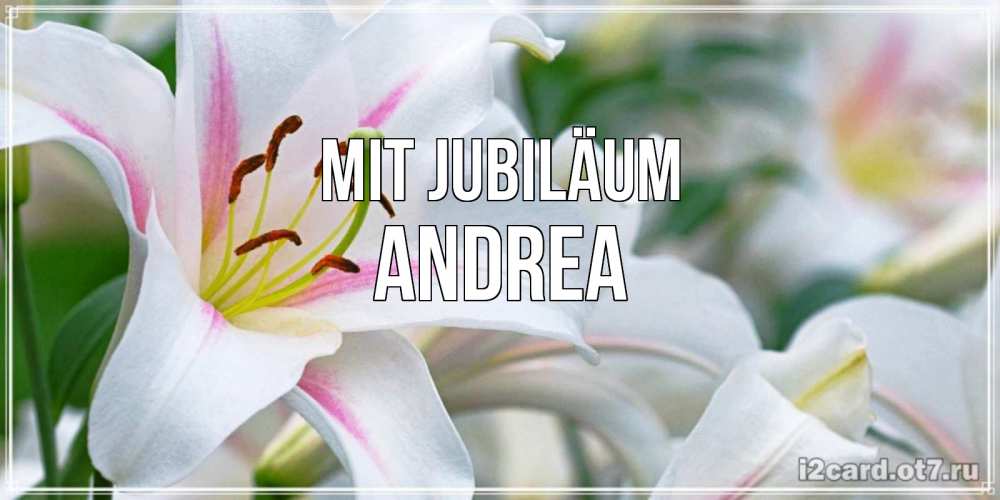 Открытка на каждый день с именем, Andrea Mit Jubiläum открытка с белой лилией Прикольная открытка с пожеланием онлайн скачать бесплатно 