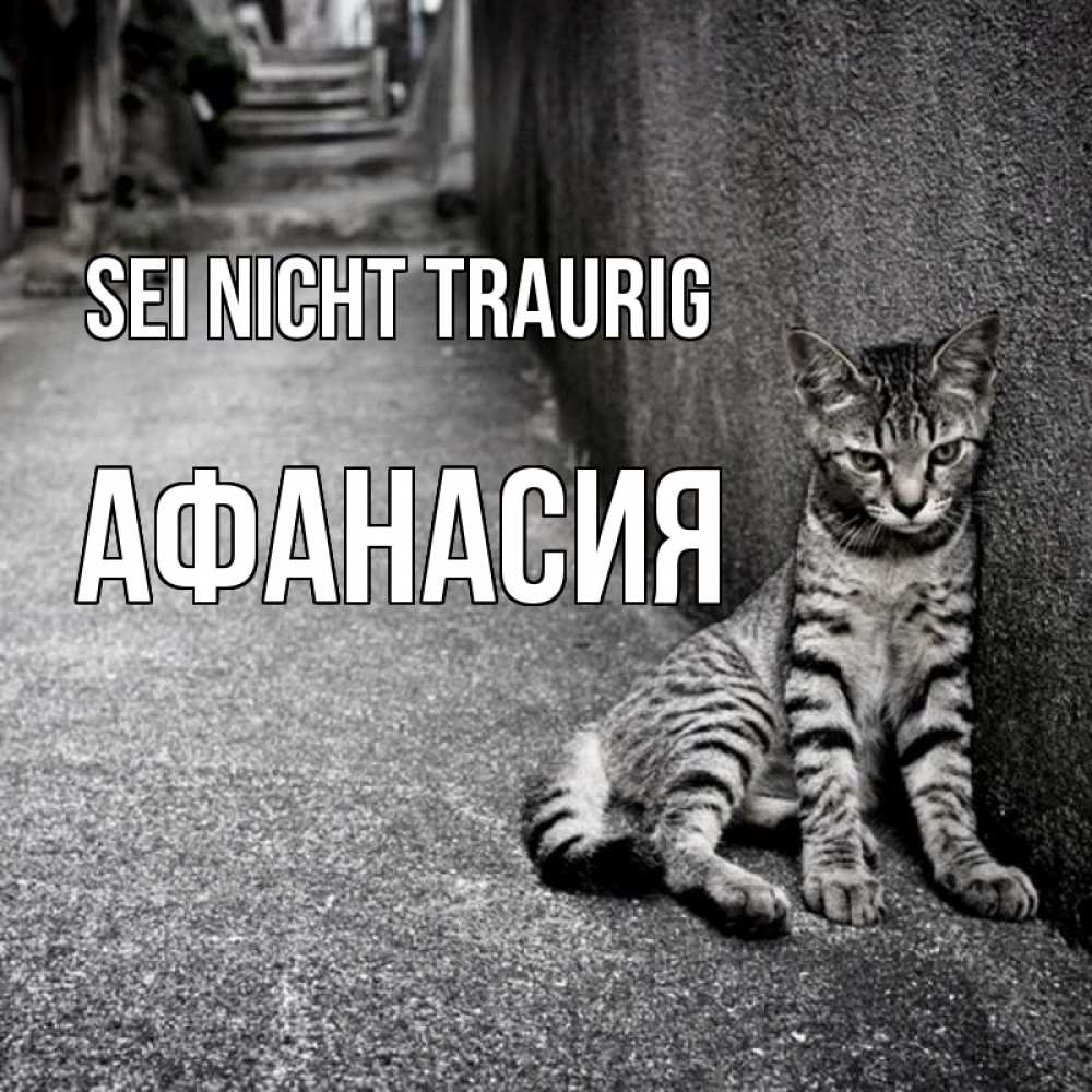 Открытка на каждый день с именем, Афанасия Sei nicht traurig скучающий котик Прикольная открытка с пожеланием онлайн скачать бесплатно 