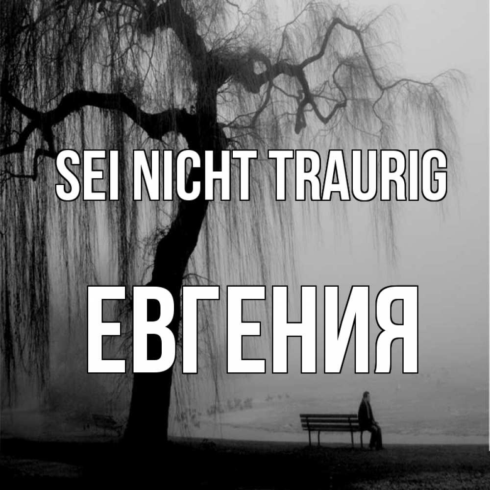 Открытка на каждый день с именем, Евгения Sei nicht traurig висящие ветки дерева и лавочка под деревом Прикольная открытка с пожеланием онлайн скачать бесплатно 