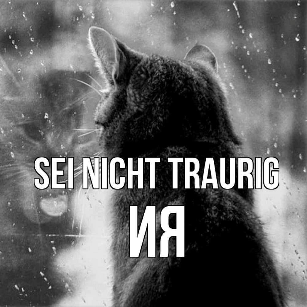 Открытка на каждый день с именем, Ия Sei nicht traurig отражение кота 1 Прикольная открытка с пожеланием онлайн скачать бесплатно 