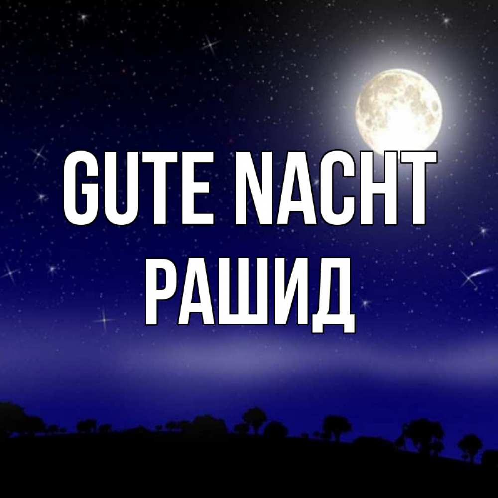 Открытка на каждый день с именем, Рашид Gute Nacht ночное небо и лесная опушка при свете луны Прикольная открытка с пожеланием онлайн скачать бесплатно 