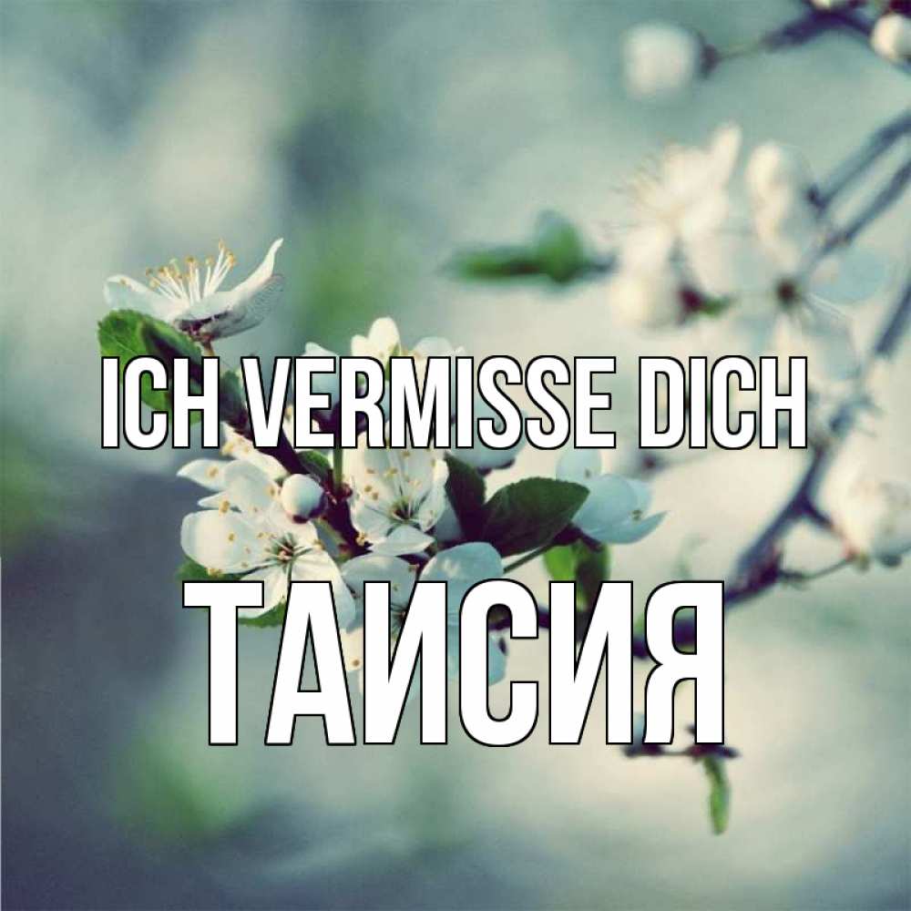 Открытка на каждый день с именем, Таисия Ich vermisse dich весна Прикольная открытка с пожеланием онлайн скачать бесплатно 