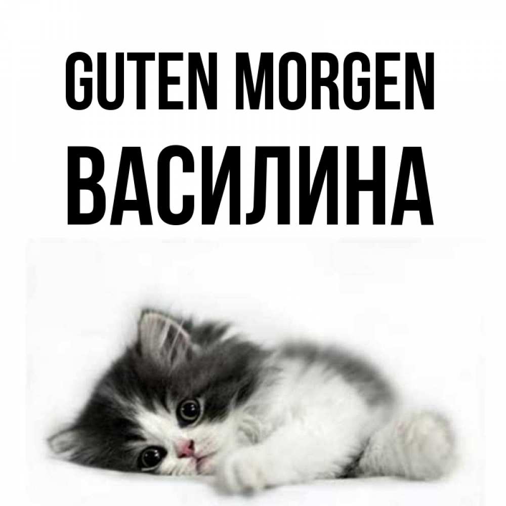 Открытка на каждый день с именем, Василина Guten Morgen кот лапки Прикольная открытка с пожеланием онлайн скачать бесплатно 