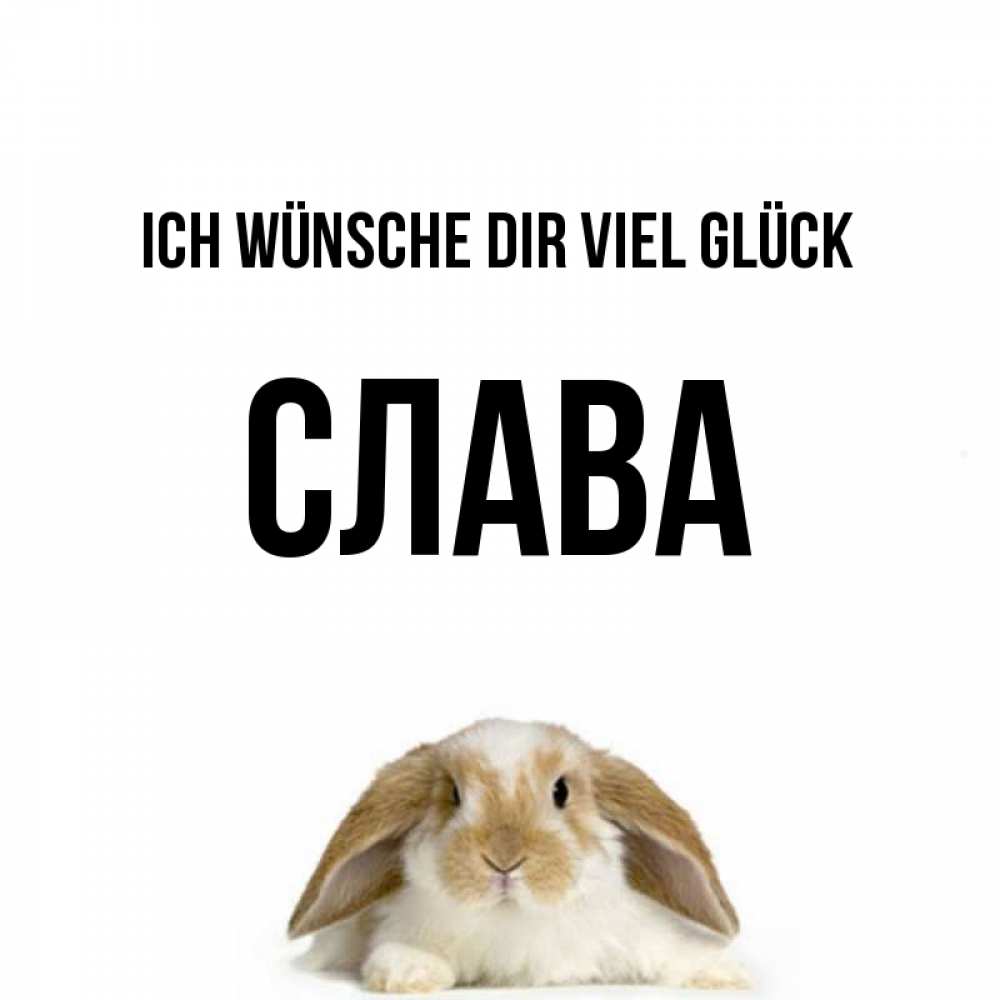 Открытка на каждый день с именем, Слава Ich wünsche dir viel Glück открытки с произвольным текстом который можно вставить в открытку и создать ее самостоятельно бесплатно онлайн Прикольная открытка с пожеланием онлайн скачать бесплатно 