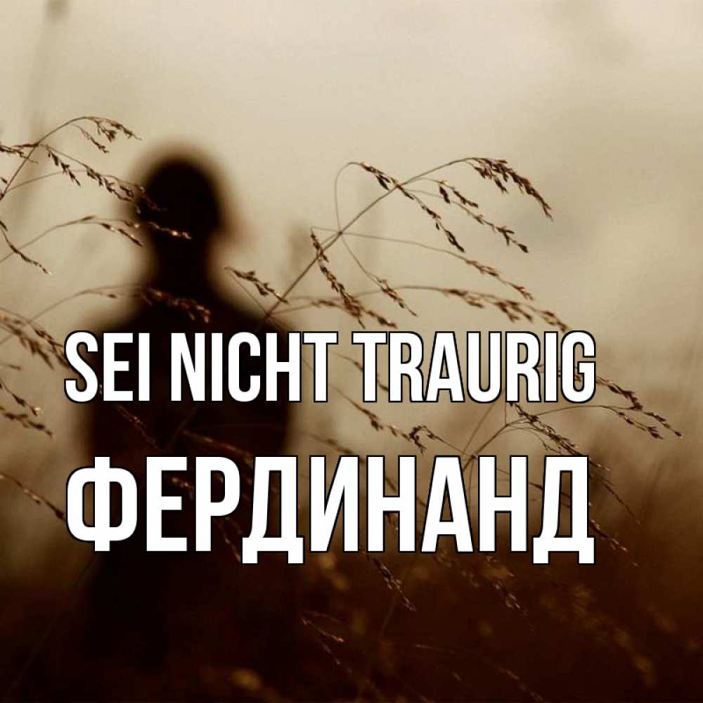 Открытка на каждый день с именем, Фердинанд Sei nicht traurig грусть Прикольная открытка с пожеланием онлайн скачать бесплатно 