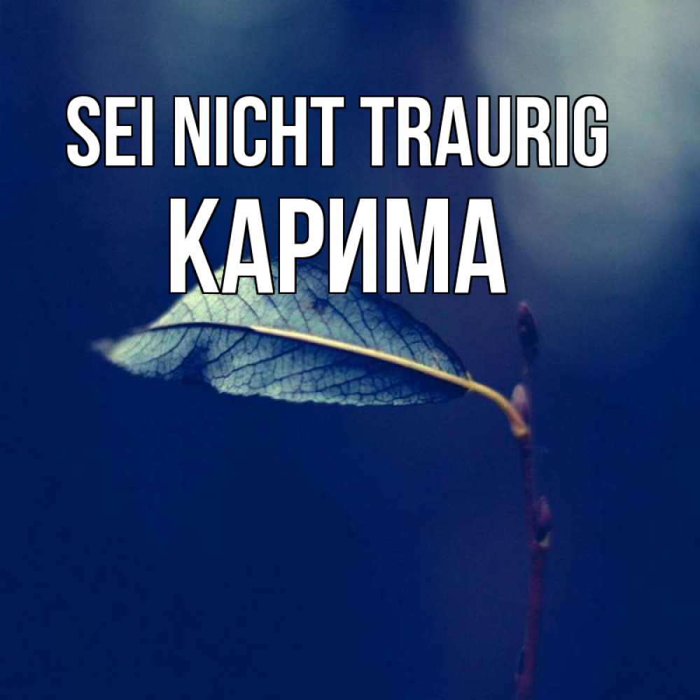 Открытка на каждый день с именем, Карима Sei nicht traurig растение Прикольная открытка с пожеланием онлайн скачать бесплатно 
