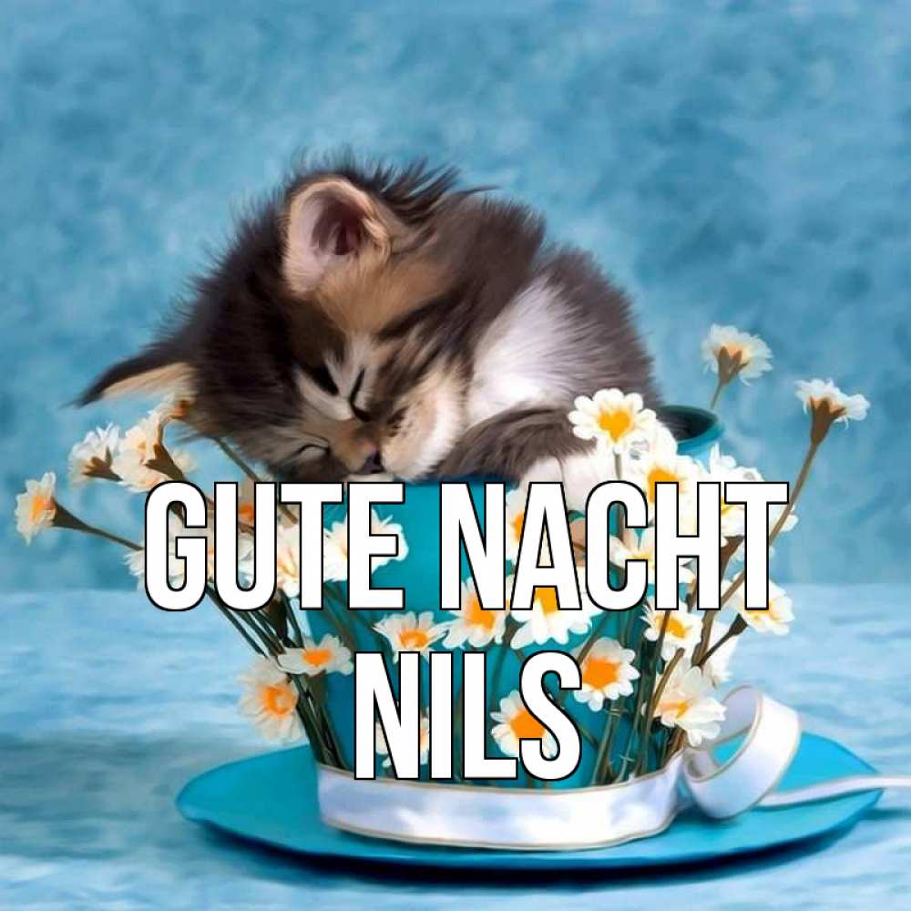 Открытка на каждый день с именем, Nils Gute Nacht котенок спит в кружке с блюдцем Прикольная открытка с пожеланием онлайн скачать бесплатно 