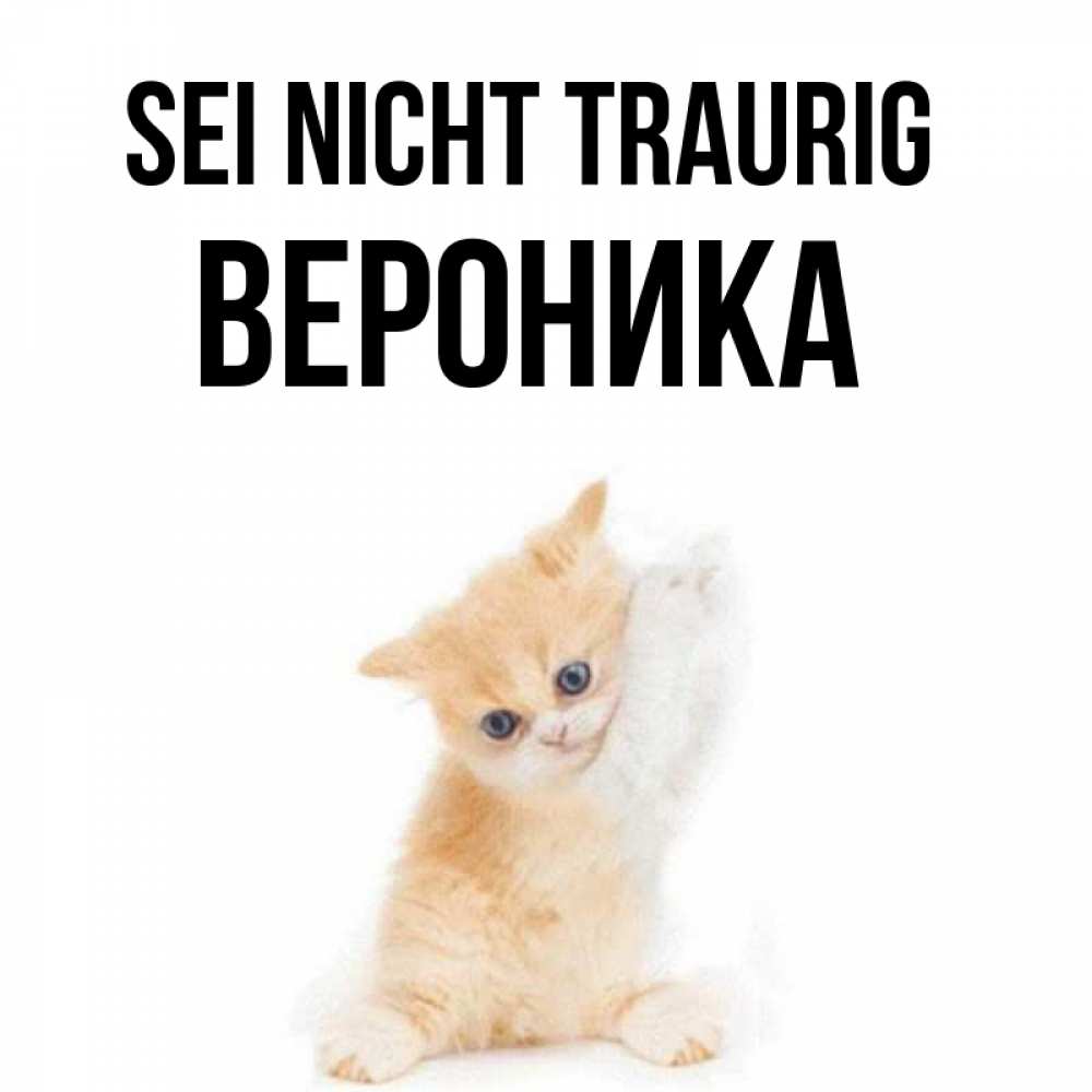 Открытка на каждый день с именем, Вероника Sei nicht traurig просящий кот Прикольная открытка с пожеланием онлайн скачать бесплатно 