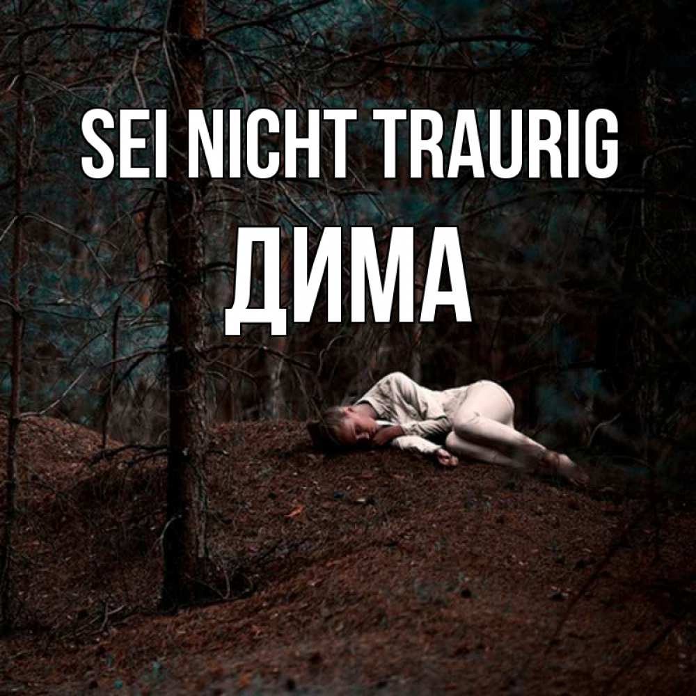 Открытка на каждый день с именем, Дима Sei nicht traurig лес Прикольная открытка с пожеланием онлайн скачать бесплатно 