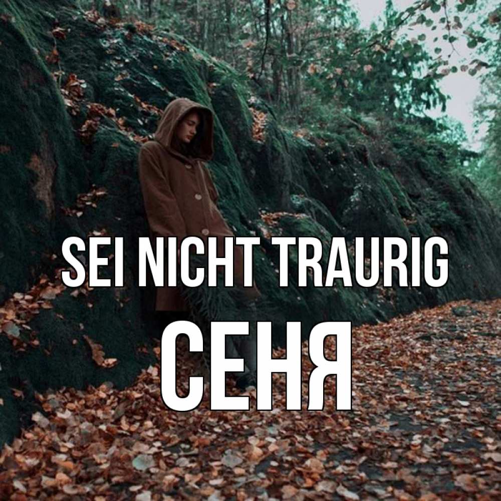 Открытка на каждый день с именем, Сеня Sei nicht traurig осенний лес Прикольная открытка с пожеланием онлайн скачать бесплатно 