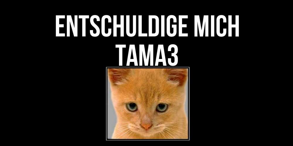 Открытка на каждый день с именем, Тамаз Entschuldige mich рыжий грустный кот просит прощения Прикольная открытка с пожеланием онлайн скачать бесплатно 
