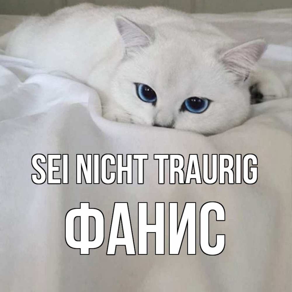 Открытка на каждый день с именем, Фанис Sei nicht traurig белый кот с голубыми глазами на белоснежной кровати Прикольная открытка с пожеланием онлайн скачать бесплатно 