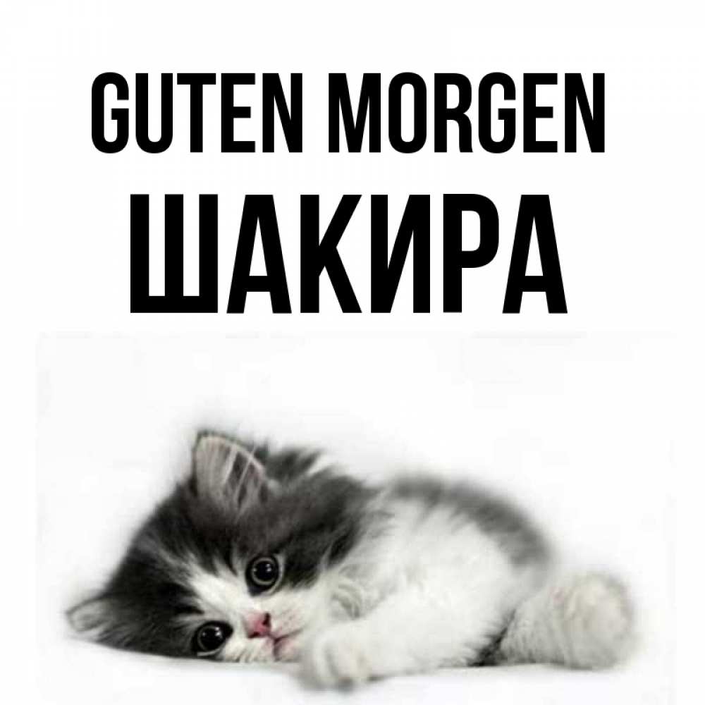 Открытка на каждый день с именем, Шакира Guten Morgen кот лапки Прикольная открытка с пожеланием онлайн скачать бесплатно 