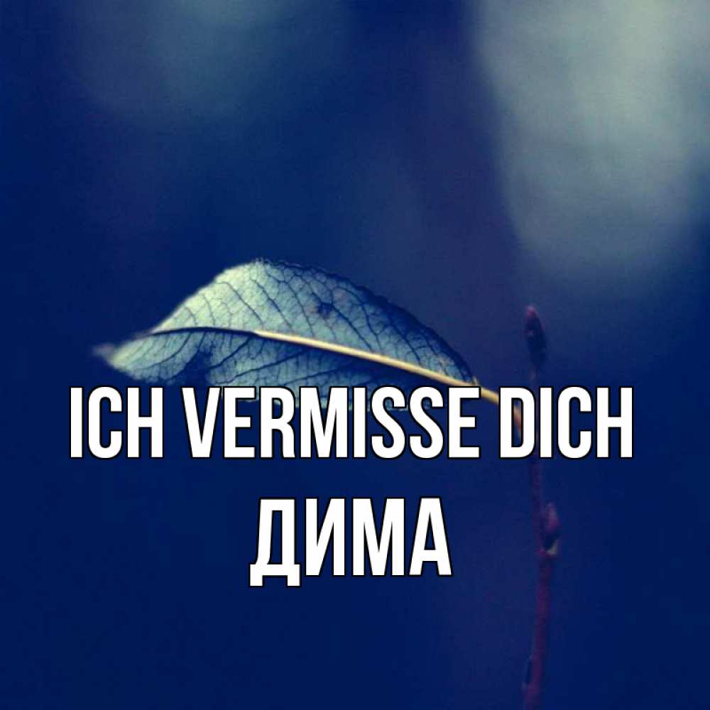 Открытка на каждый день с именем, Дима Ich vermisse dich одна ветка 1 Прикольная открытка с пожеланием онлайн скачать бесплатно 