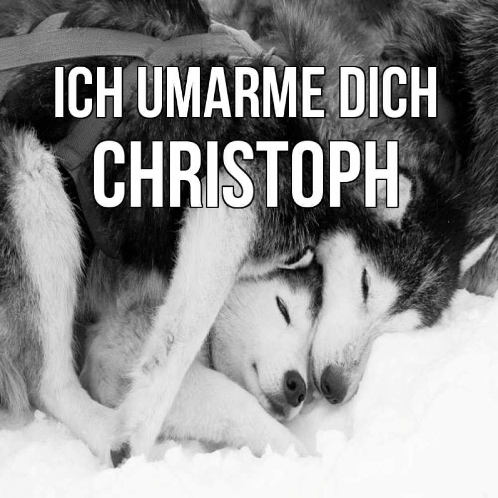 Открытка на каждый день с именем, Christoph Ich umarme dich собачки в упряжке Прикольная открытка с пожеланием онлайн скачать бесплатно 