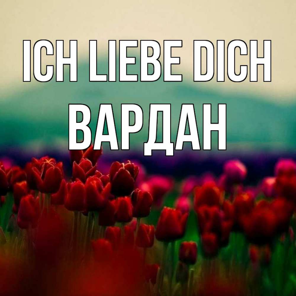 Открытка на каждый день с именем, Вардан Ich liebe dich тюльпаны 4 Прикольная открытка с пожеланием онлайн скачать бесплатно 