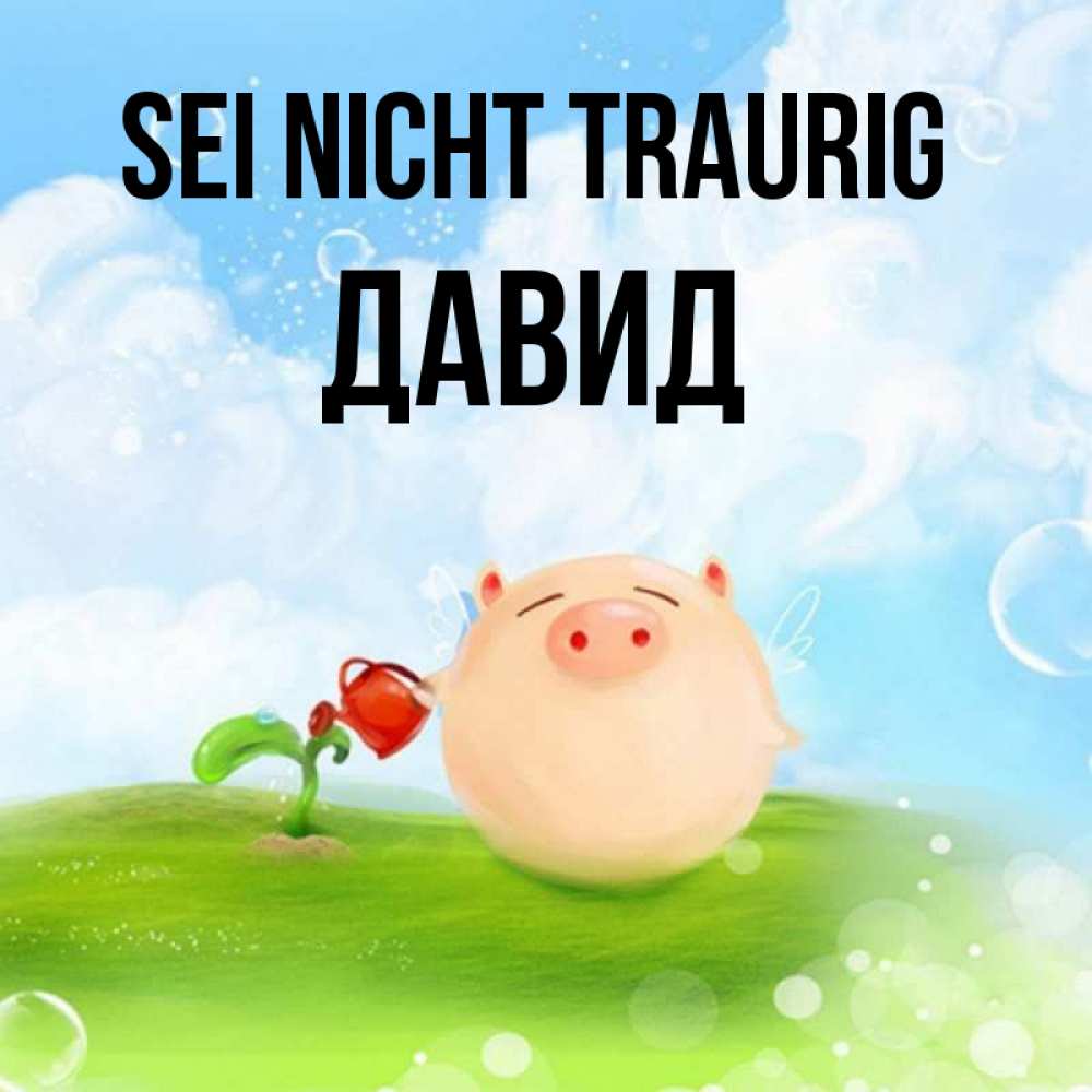 Открытка на каждый день с именем, Давид Sei nicht traurig поливает цветок порося Прикольная открытка с пожеланием онлайн скачать бесплатно 