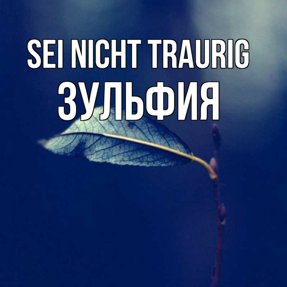 Открытка на каждый день с именем, Зульфия Sei nicht traurig растение Прикольная открытка с пожеланием онлайн скачать бесплатно 