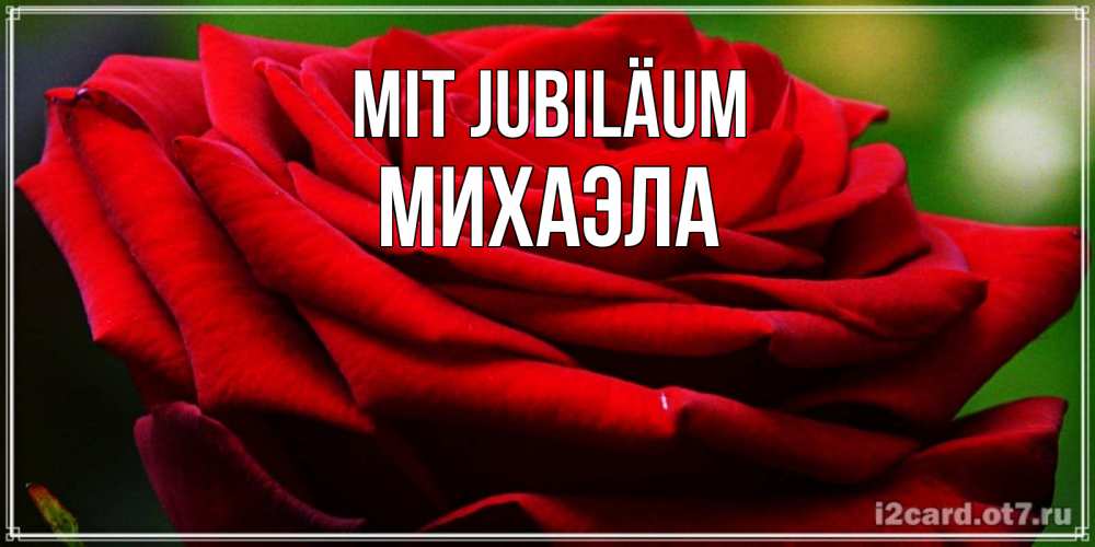Открытка на каждый день с именем, Михаэла Mit Jubiläum розочка очень красивая Прикольная открытка с пожеланием онлайн скачать бесплатно 