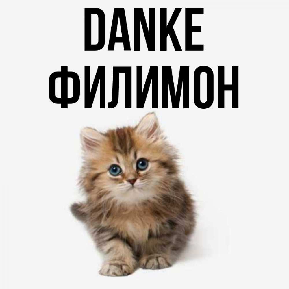Открытка на каждый день с именем, Филимон Danke пушистый котик Прикольная открытка с пожеланием онлайн скачать бесплатно 