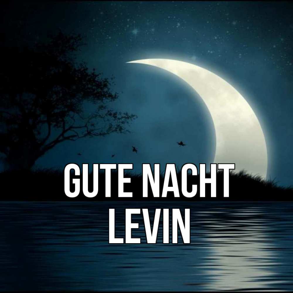 Открытка на каждый день с именем, Levin Gute Nacht вода Прикольная открытка с пожеланием онлайн скачать бесплатно 