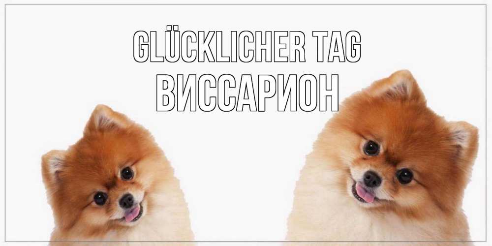 Открытка на каждый день с именем, Виссарион Glücklicher Tag собачки желают прекрасного дня Прикольная открытка с пожеланием онлайн скачать бесплатно 