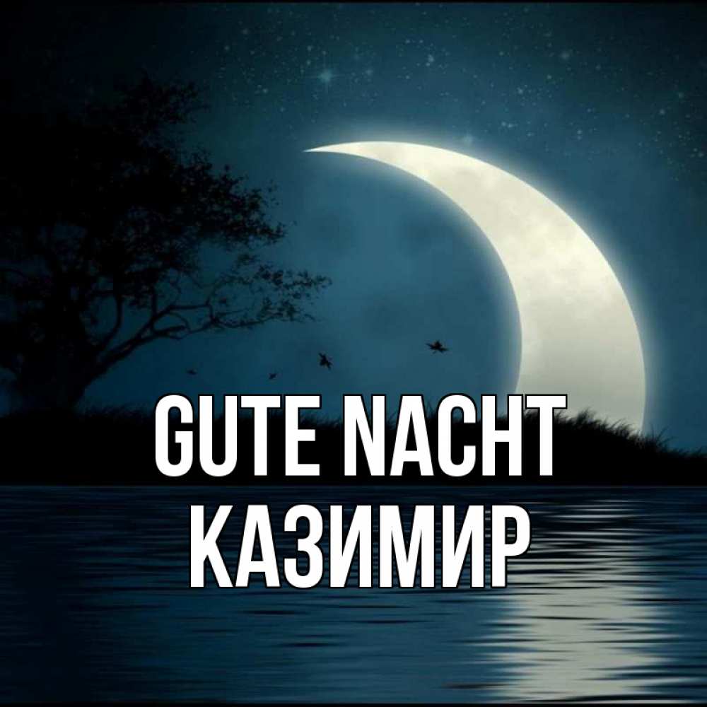 Открытка на каждый день с именем, Казимир Gute Nacht вода Прикольная открытка с пожеланием онлайн скачать бесплатно 